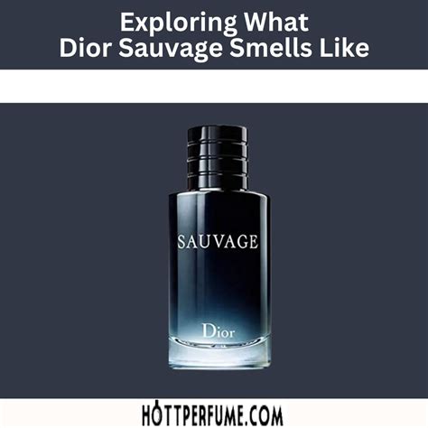 Dior Sauvage smells like